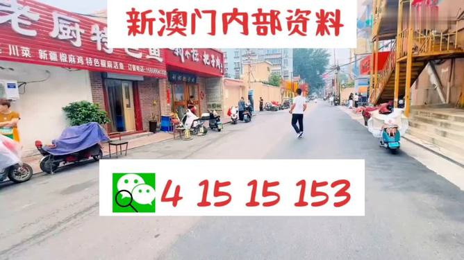 2024澳门天天开好彩大全2024,实际调研解析_EJV50.814时尚版