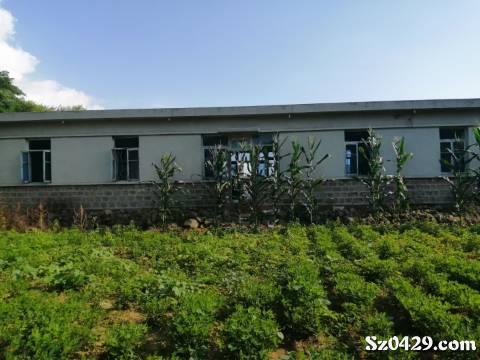 绥中平房最新出售信息,小巷深处的惊喜宝藏