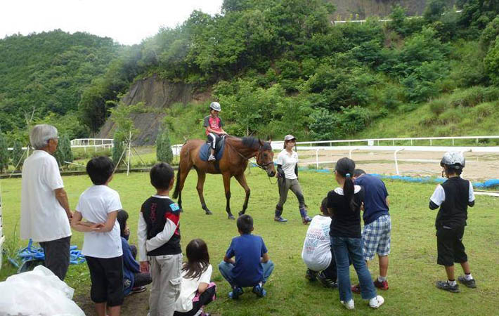 濠江论坛澳门资料大全,实地数据验证_GSR50.818影音体验版