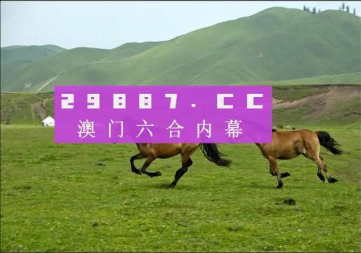 2024澳门跑狗图最新版今天104,高效执行方案_AHN29.695工具版