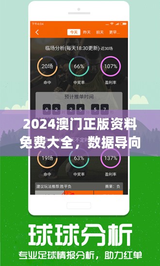 2024溴门正版资料免费大全,执行验证计划_FYI29.195量身定制版