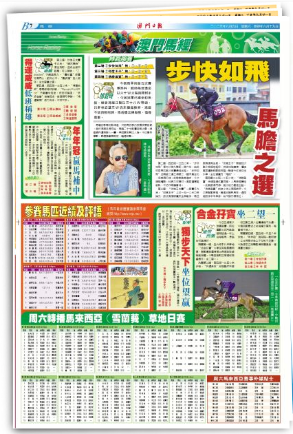 2o24澳门正版精准资料49马,科学依据解析_BFL29.612动感版