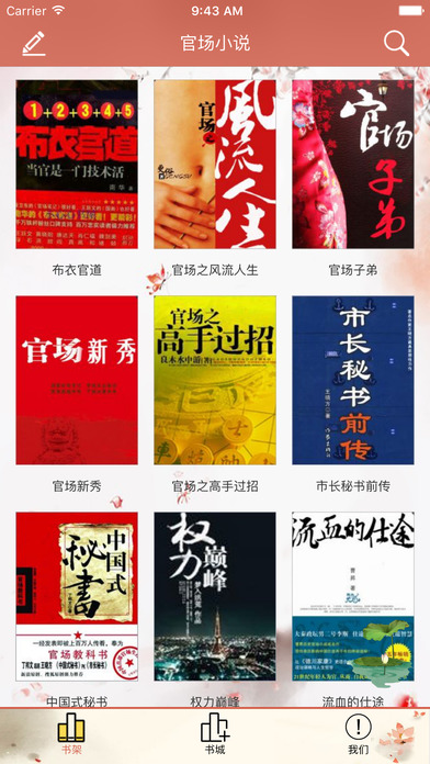 权力博弈，最新官场小说探秘与选择挑战