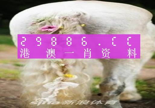 澳门四不像精准一肖一码,最新数据挖解释明_YCL50.692时刻版
