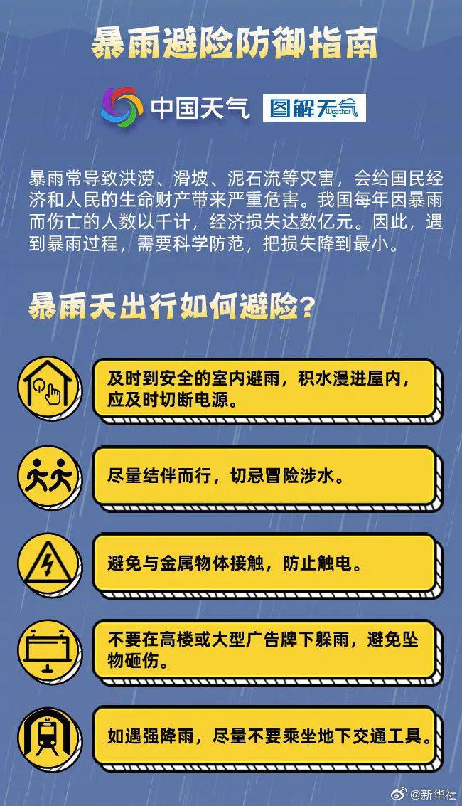 246天天天彩资料免费大全,科学依据解析_PQO29.616内容创作版