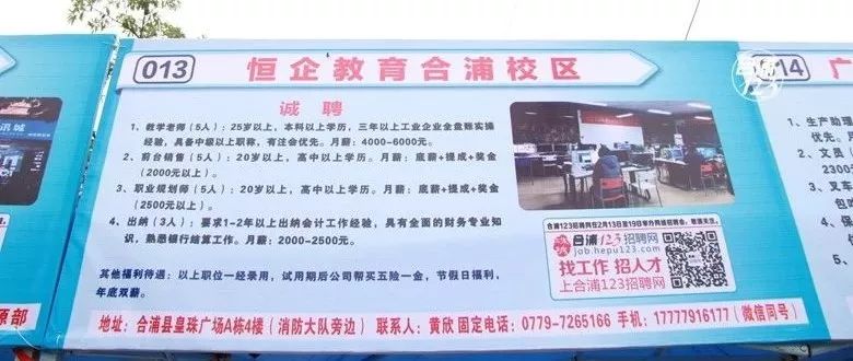 园洲最新招聘信息，时代的脉搏与人才的交汇舞台