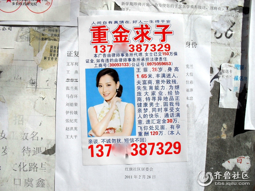 最新重金求子号码揭秘,寻找内心平静的冒险之旅