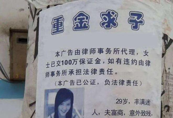 最新重金求子号码揭秘,寻找内心平静的冒险之旅