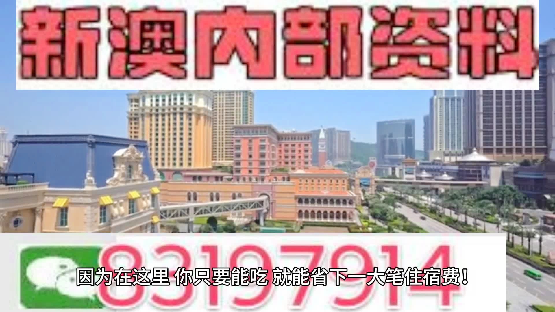 2024年新澳门王中王免费,统计信息解析说明_PHA49.750定向版