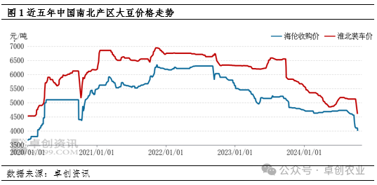 科技引领未来，黄豆最新价格行情走势尽在掌握