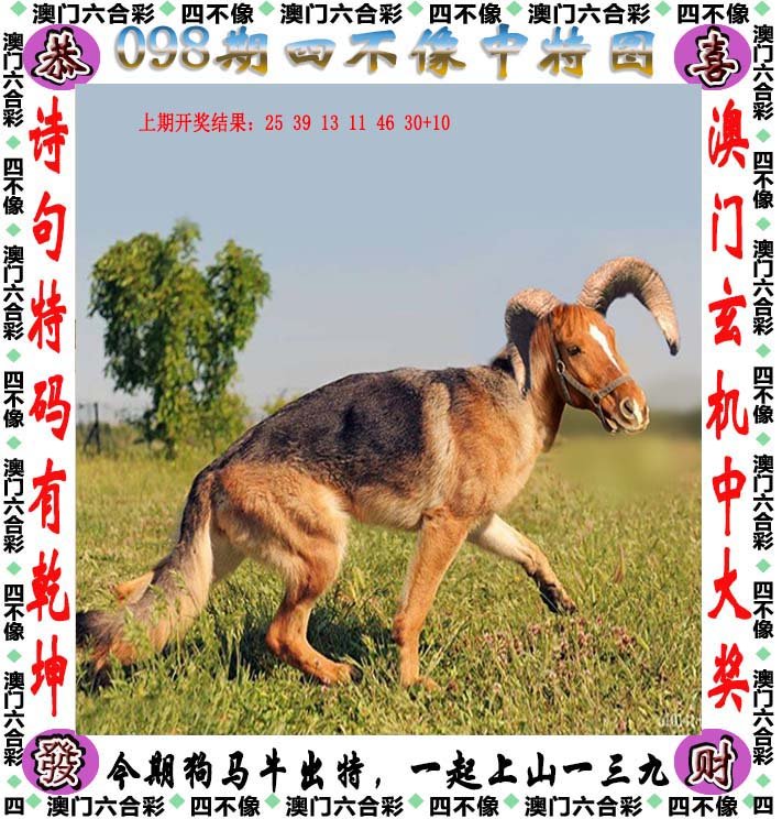 四不像正版免费资料查询,深入登降数据利用_DJT49.662原创性版