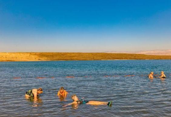 遂宁南湖半岛最新动态,城市发展的璀璨明珠,最新进展全解析