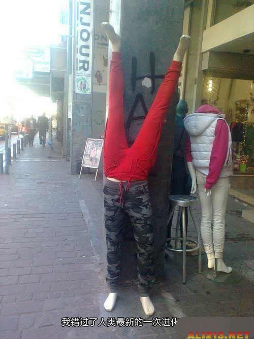 雷人网最新门事件,心灵与自然的绝美之旅