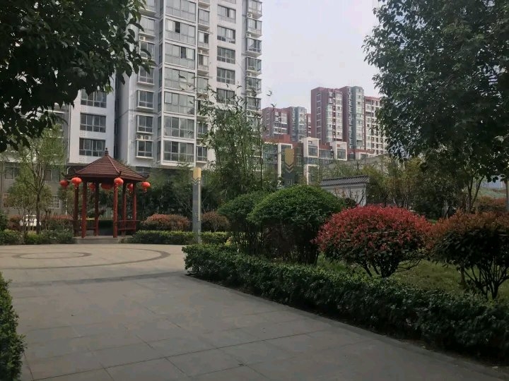 河南桐柏最新房价揭秘，温馨家园的遇见与故事