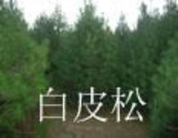 印刷环评 第120页