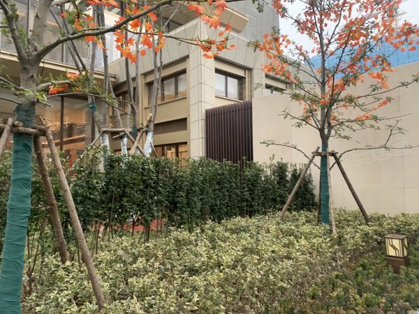 金融街壹号最新价，获取与理解指南全解析