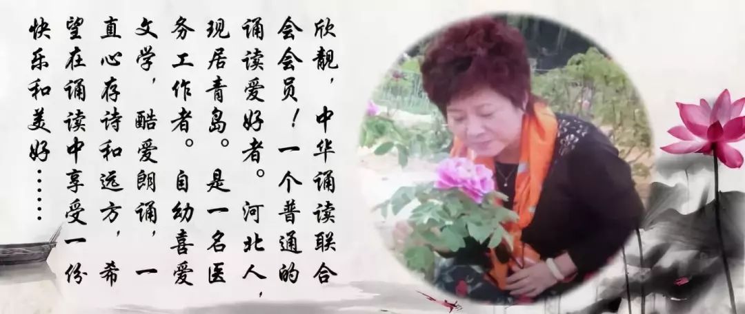边城浪子最新作品深度探究某观点，深度剖析与解读