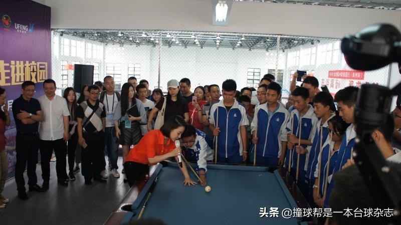 风云再起,校园超级霸主之校园争霸新篇章