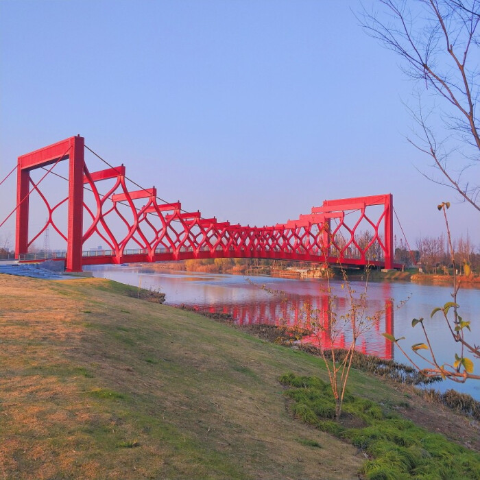 扬州三湾湿地公园，自然美景的探索之旅最新报道