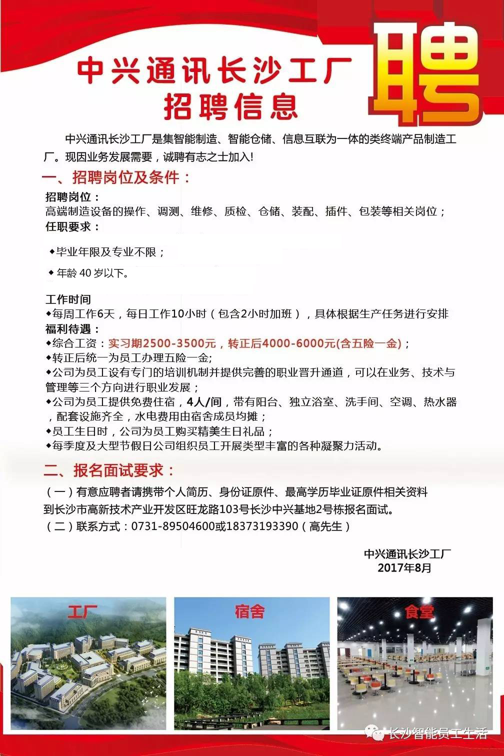 深圳中兴最新招聘信息揭秘，职场小幸运的日常故事开启招聘大门