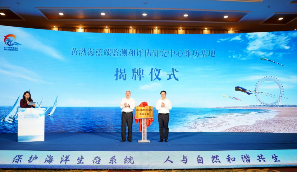 最新最全的代祷与步骤指南，引领你走向祈祷之路的权威指南