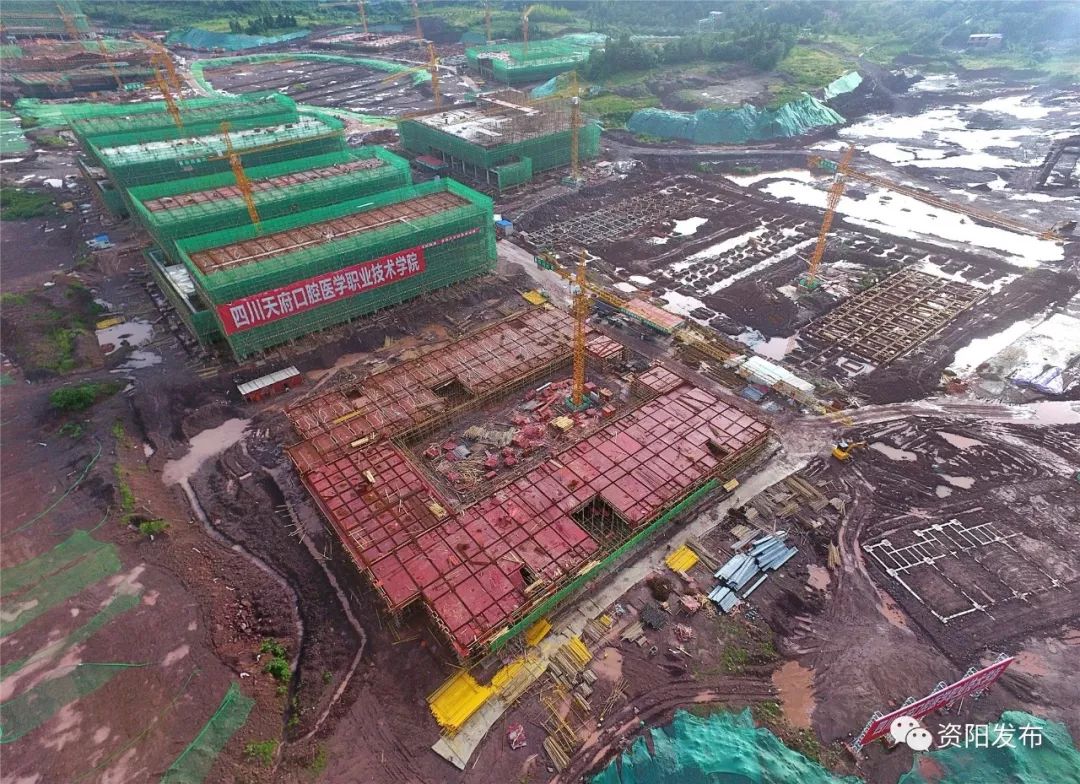 资阳董家坝蓬勃发展新篇章,最新动态速递