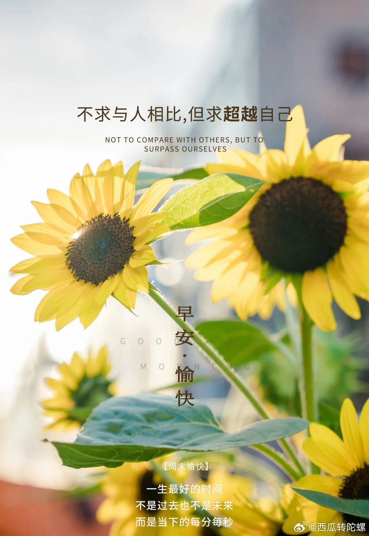 每日七言2024最新版，探索自然美景之旅，寻找内心平和的旅程