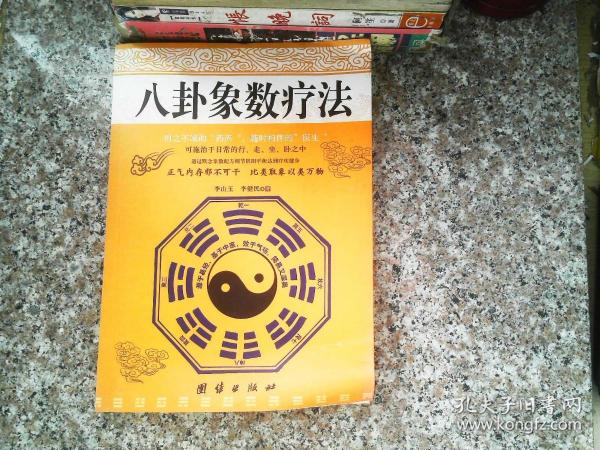 李山玉象数疗法最新版，背景、影响与地位解析