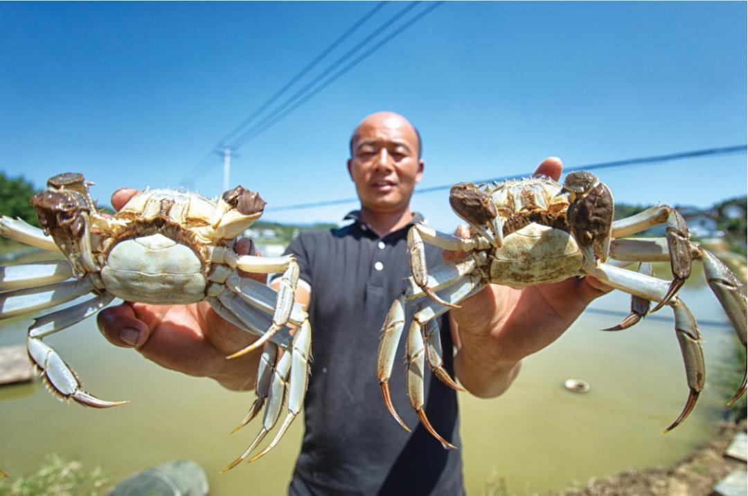 浏阳市最新招聘信息网，职业发展的起点之门