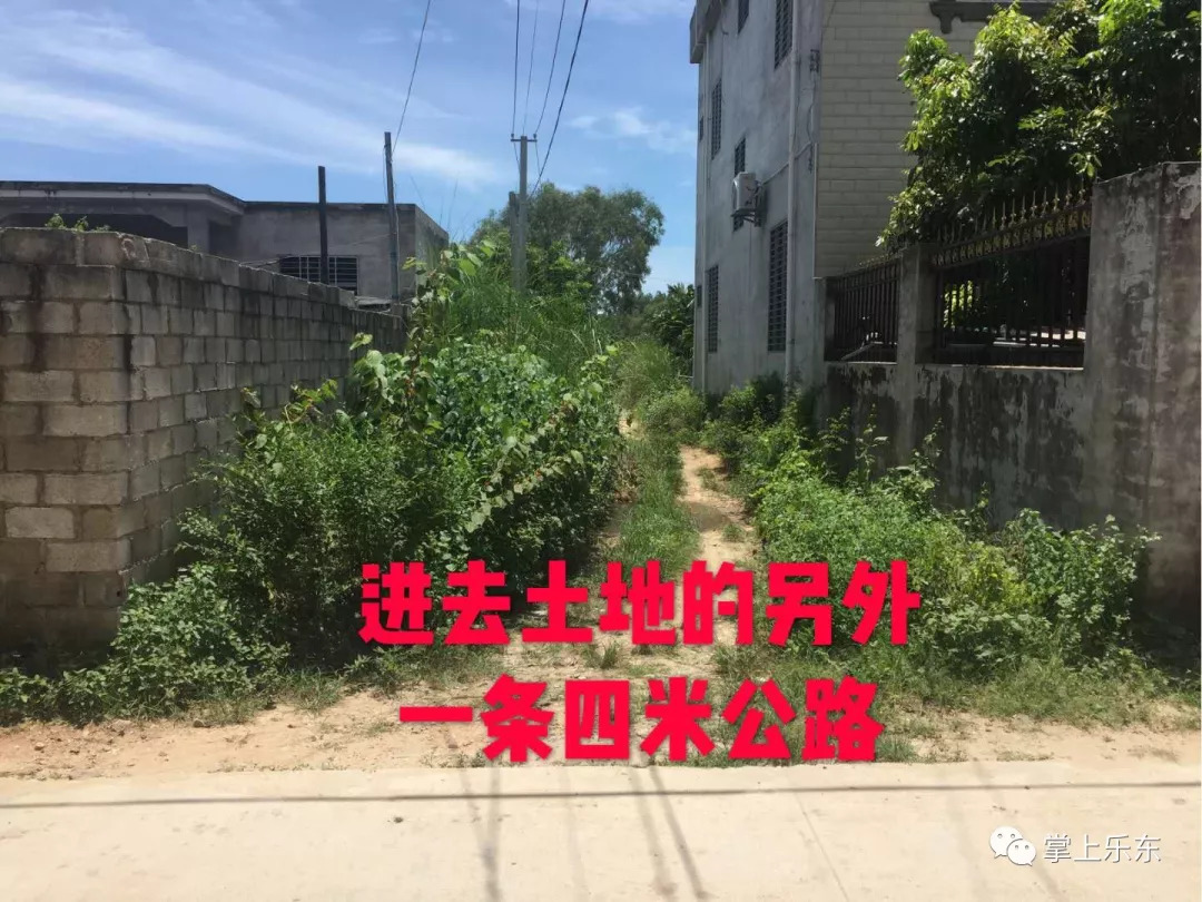 肇东楼房出租最新消息汇总