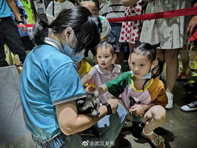 武汉四胞胎萌宝成长足迹最新视频公开!