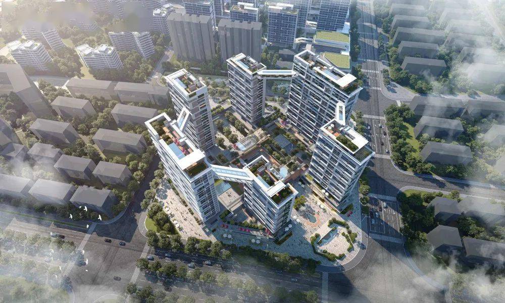 临海最新动态更新