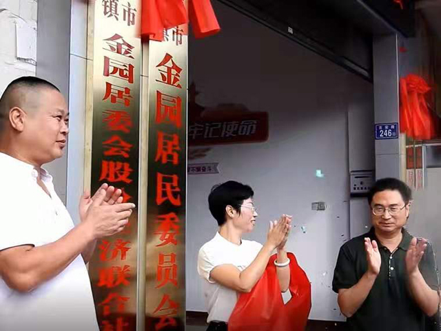 金园股份，高科技领域的璀璨新星——股票投资新选择