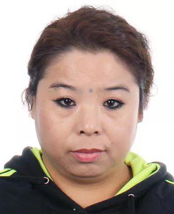 内蒙最新批捕现象深度解析与观点阐述