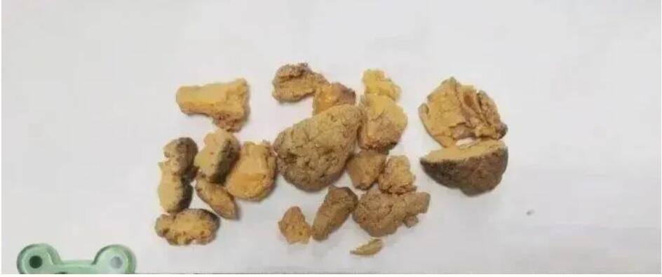 最新鸽子术引领未来生活变革，高科技产品带来前所未有的体验