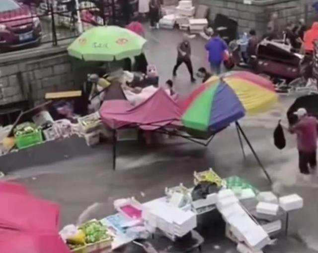 最新狼乐园,与自然美景的亲密之旅