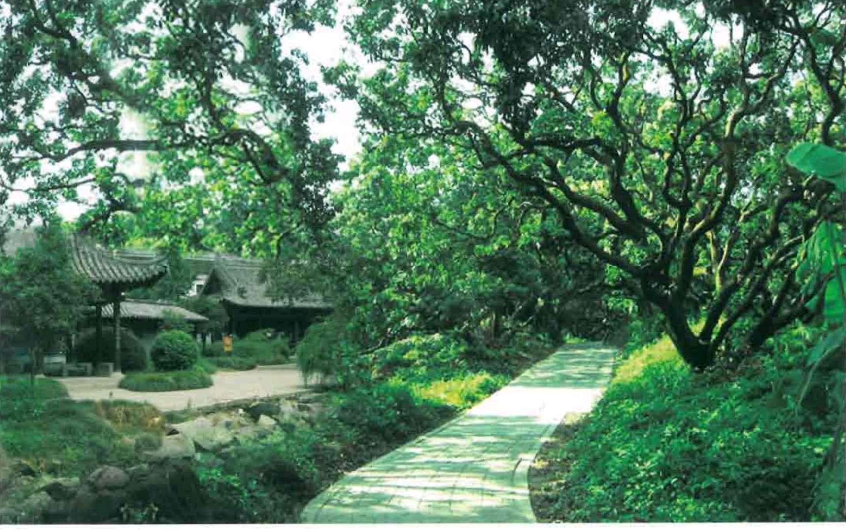 富民县新篇章,家园温馨规划与未来发展蓝图