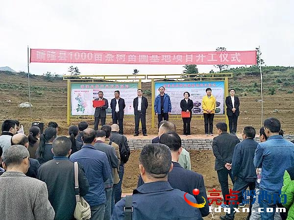 晴隆县最新新闻报道汇总